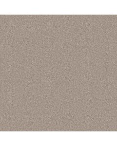 Shaw AFFIRMATION II Sculptor Carpet - SH-5E795-00103