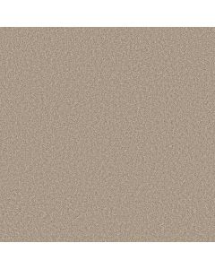 Shaw AFFIRMATION II Loft Light Carpet - SH-5E795-00104