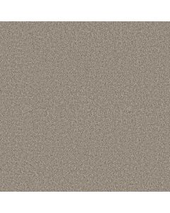 Shaw AFFIRMATION II Vintage Pewter Carpet - SH-5E795-00105
