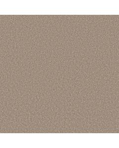 Shaw AFFIRMATION II Basketry Carpet - SH-5E795-00106