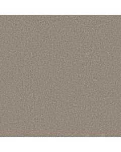 Shaw AFFIRMATION II Plateau Carpet - SH-5E795-00110