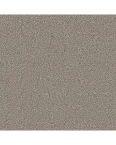 Shaw AFFIRMATION II Bistro Carpet - SH-5E795-00111