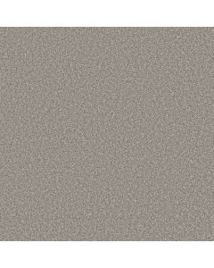 Shaw AFFIRMATION II Lunar Surface Carpet - SH-5E795-00500