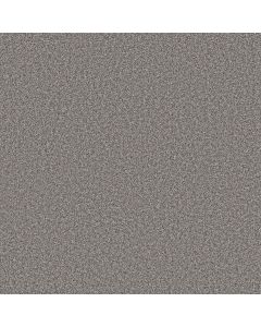Shaw AFFIRMATION II Rush Hour Carpet - SH-5E795-00501