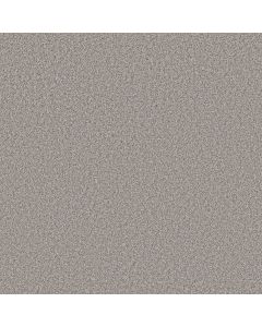Shaw AFFIRMATION II Shaved Ice Carpet - SH-5E795-00510