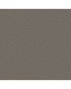 Shaw AFFIRMATION II Orion Gray Carpet - SH-5E795-00512