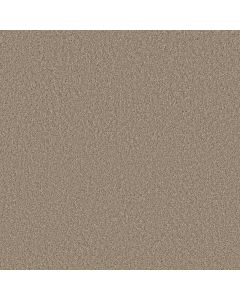 Shaw High Ranking - Solid Broadstreet Carpet - SH-5E796-00109