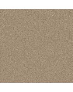 Shaw High Ranking - Solid Mystic Gold Carpet - SH-5E796-00110