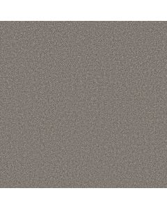 Shaw High Ranking - Solid Skyline Carpet - SH-5E796-00504