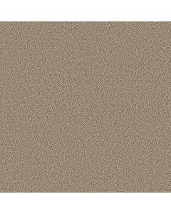 Shaw HIGH RANKING B Spirit Carpet - SH-5E798-00130