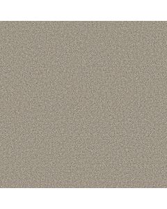 Shaw HIGH RANKING B Wind S Breath Carpet - SH-5E798-00137