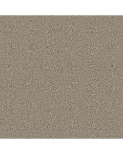Shaw HIGH RANKING B Dockside Carpet - SH-5E798-00139