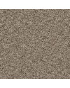 Shaw HIGH RANKING B Escape Carpet - SH-5E798-00140