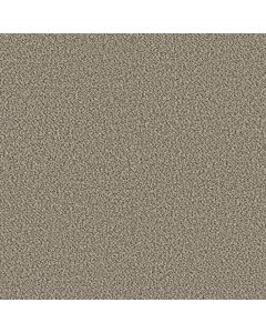 Shaw HIGH RANKING B Point Beach Carpet - SH-5E798-00147