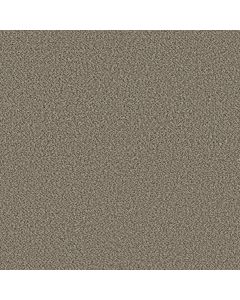 Shaw HIGH RANKING B Fairview Carpet - SH-5E798-00149