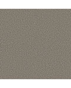 Shaw HIGH RANKING B River Carpet - SH-5E798-00544