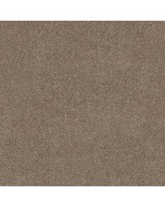 Shaw GRAND OUTLOOK Hearth Stone Carpet - SH-5E802-00101