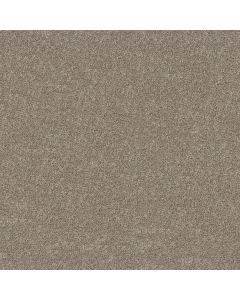 Shaw GRAND OUTLOOK Cameo Carpet - SH-5E802-00105