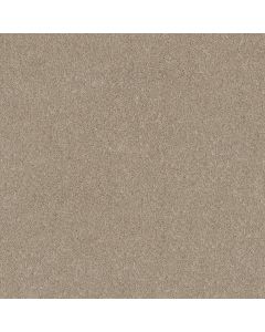 Shaw GRAND OUTLOOK Natural Carpet - SH-5E802-00106