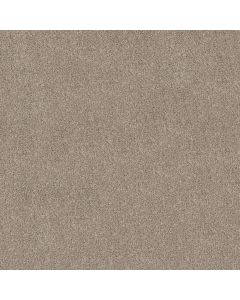 Shaw GRAND OUTLOOK Sculpture Carpet - SH-5E802-00107