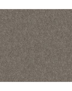 Shaw GRAND OUTLOOK Worn Path Carpet - SH-5E802-00108
