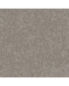 Shaw GRAND OUTLOOK Mission Ridge Carpet - SH-5E802-00111