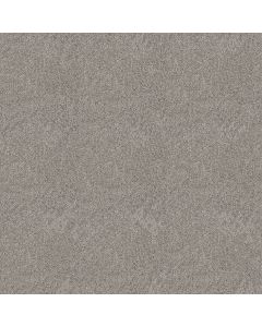 Shaw GRAND OUTLOOK Shadow Carpet - SH-5E802-00505