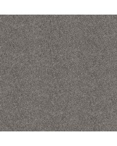 Shaw GRAND OUTLOOK Aircraft Carpet - SH-5E802-00506