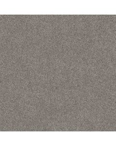 Shaw GRAND OUTLOOK Mystic Carpet - SH-5E802-00509