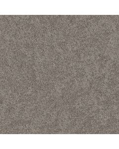 Shaw GRAND OUTLOOK Hammerhead Carpet - SH-5E802-00512