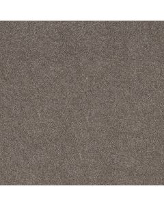 Shaw GRAND OUTLOOK Homestead Carpet - SH-5E802-00700