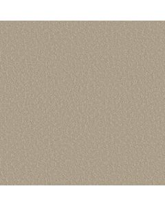 Shaw CLEVER CHOICE Twine Carpet - SH-5E808-00100