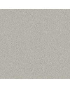 Shaw CLEVER CHOICE Forest Fog Carpet - SH-5E808-00107