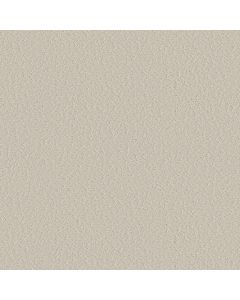 Shaw CLEVER CHOICE Scotch Mist Carpet - SH-5E808-00109