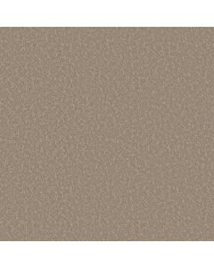Shaw CLEVER CHOICE Kindling Carpet - SH-5E808-00113