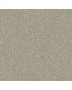 Shaw CLEVER CHOICE Sandstone Carpet - SH-5E808-00115