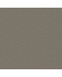 Shaw CLEVER CHOICE Fallen Acorn Carpet - SH-5E808-00501