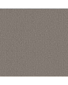 Shaw CLEVER CHOICE Lunar Haze Carpet - SH-5E808-00509
