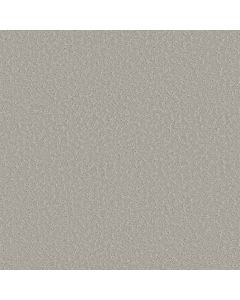 Shaw CLEVER CHOICE Sterling Carpet - SH-5E808-00556