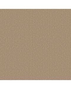 Shaw CLEVER CHOICE Worn Path Carpet - SH-5E808-00700