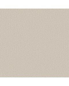 Shaw CLEVER DESIGN Scotch Mist Carpet - SH-5E809-00109