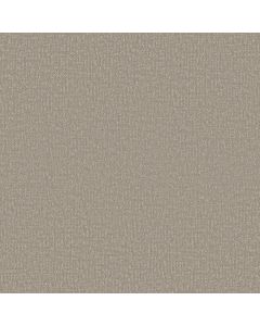 Shaw CLEVER DESIGN Sandstone Carpet - SH-5E809-00115