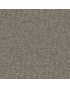 Shaw CLEVER DESIGN Fallen Acorn Carpet - SH-5E809-00501