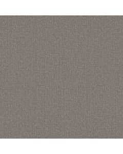 Shaw CLEVER DESIGN Lunar Haze Carpet - SH-5E809-00509