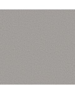 Shaw CLEVER DESIGN Sterling Carpet - SH-5E809-00556