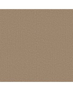 Shaw CLEVER DESIGN Worn Path Carpet - SH-5E809-00700