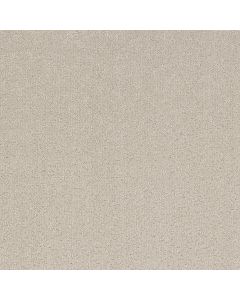 Shaw CLEVER BLEND Almond Silk Carpet - SH-5E810-00101