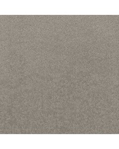 Shaw CLEVER BLEND River Birch Carpet - SH-5E810-00106