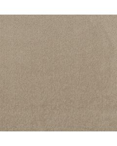 Shaw CLEVER BLEND Cameo Carpet - SH-5E810-00113