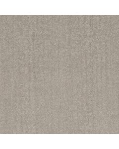 Shaw CLEVER BLEND Sculpture Carpet - SH-5E810-00115